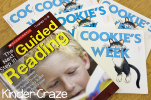 early-guided-reading-materials-for-Jan-Richardson