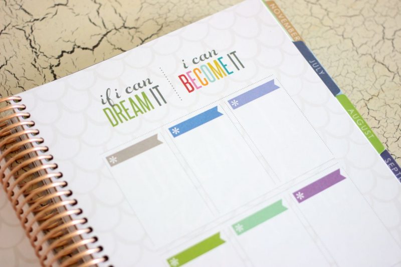 Erin Condren Life Planner goal setting pages