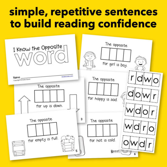 "I Know the Opposite WORD" Interactive Sight Word Reader - Kinder Craze