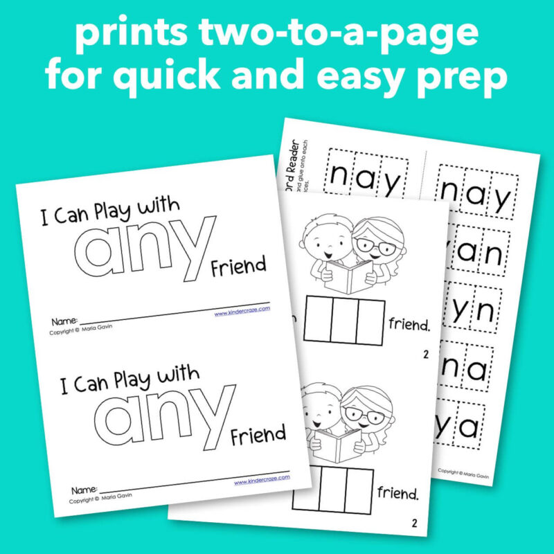 Emergent Reader for Sight Word ANY 